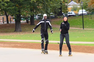 DSC_0682 (Large).JPG